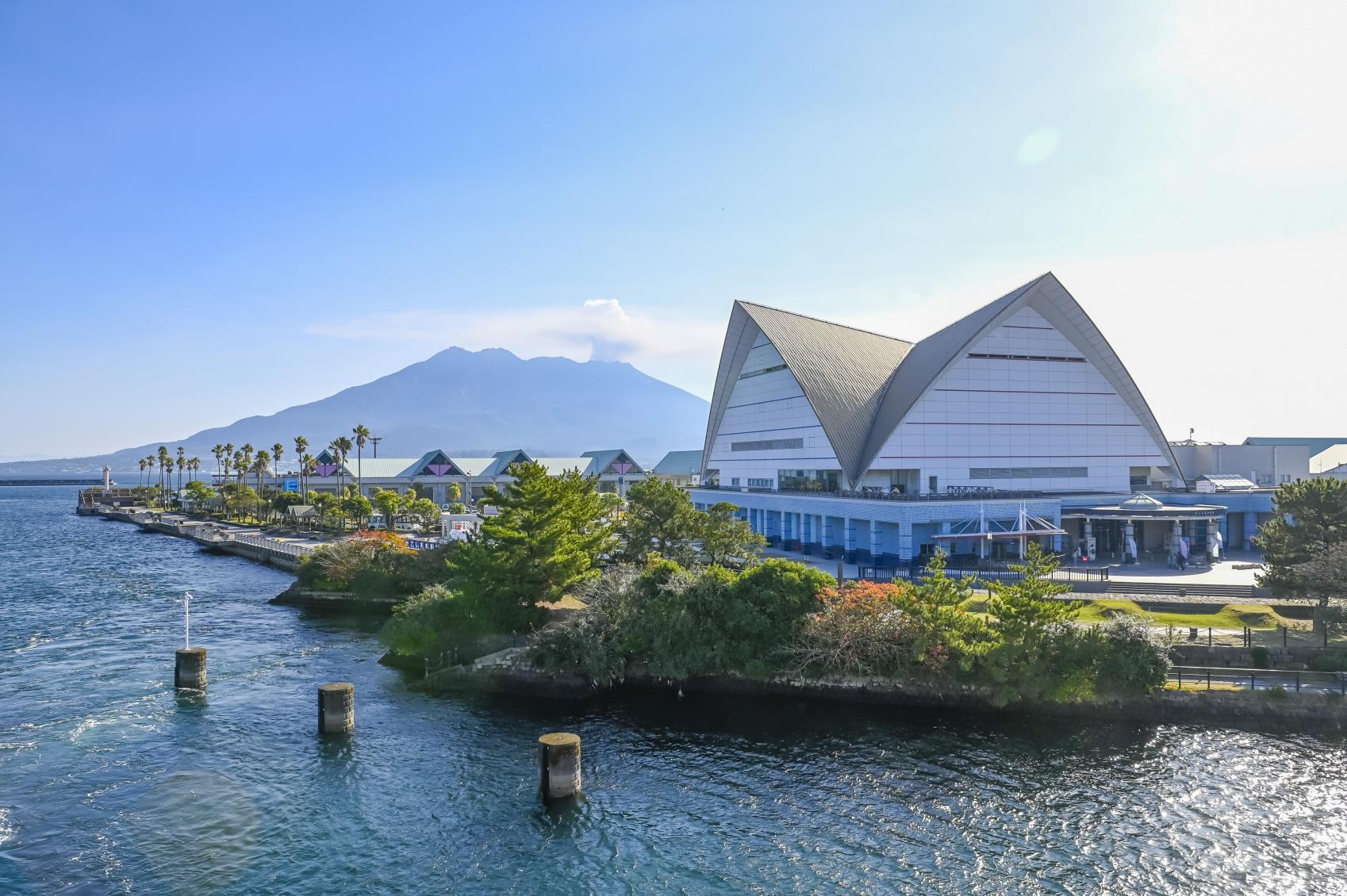 いおワールドかごしま水族館の魅力解剖！見どころ・割引・混雑攻略の全貌