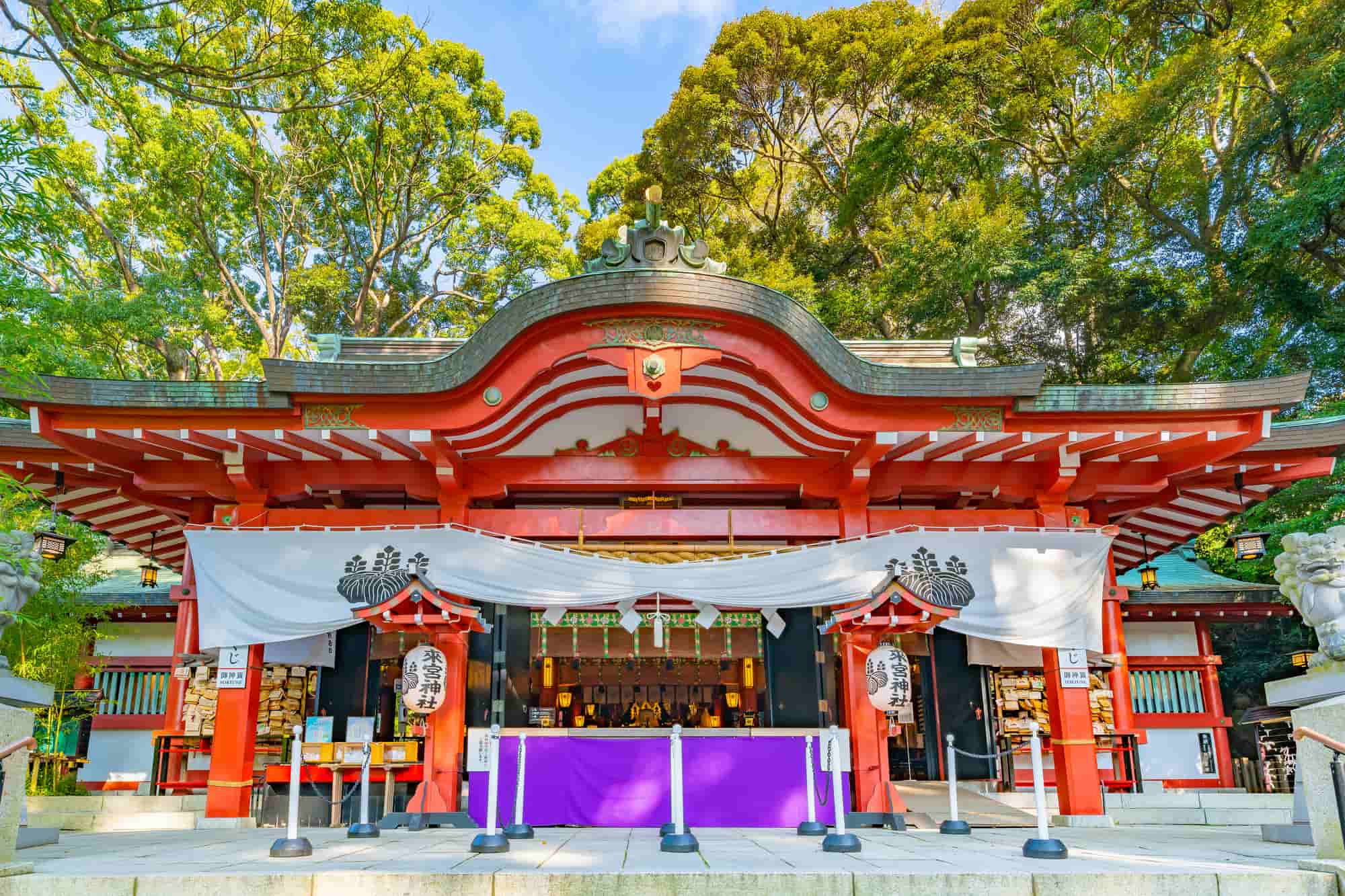 熱海の神社が今話題の理由！来宮大楠の真相と伊豆山神社の歴史を検証