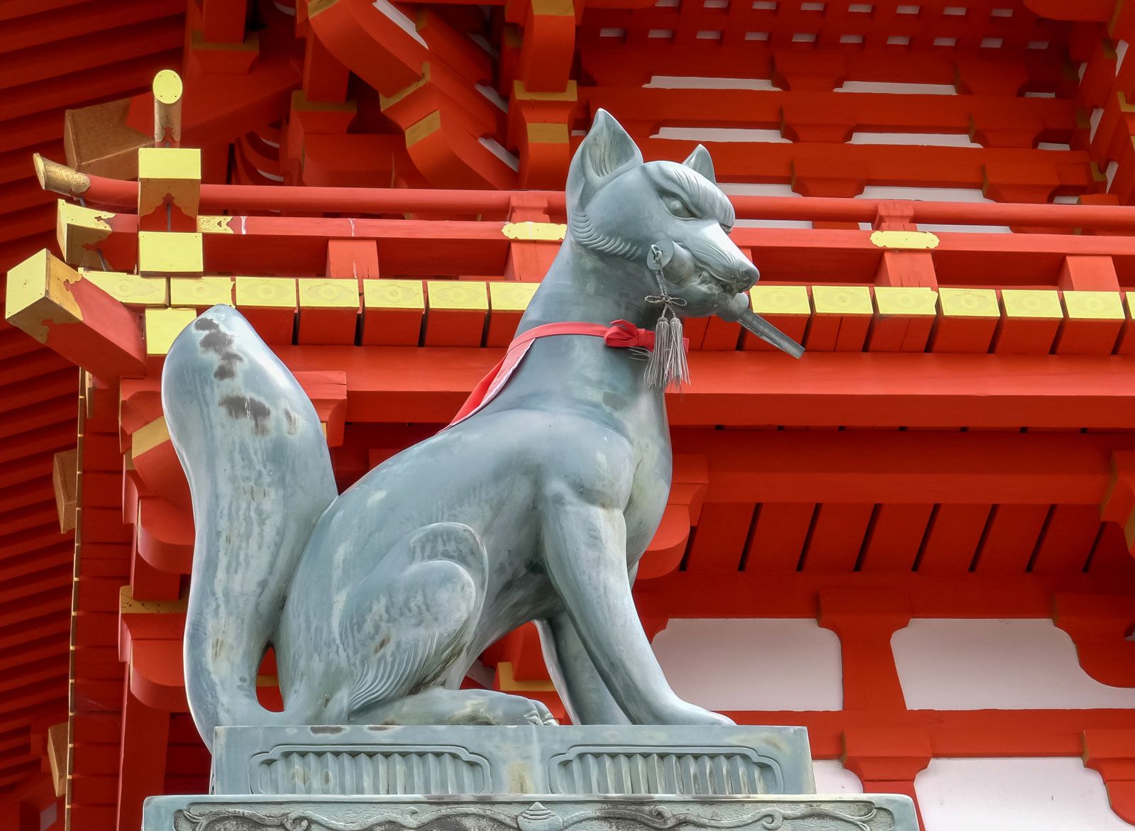 Fox Symbol Japan