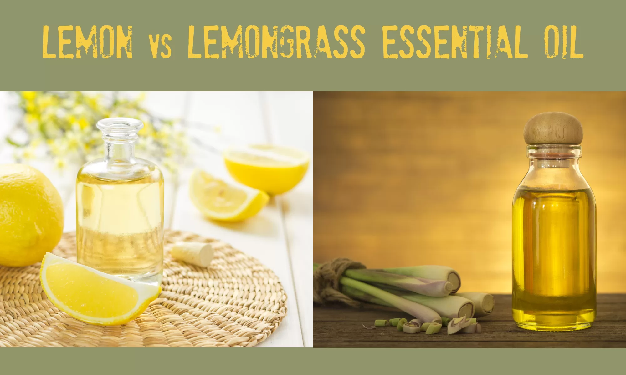 Lemon vs Lemongrass Essential Oil