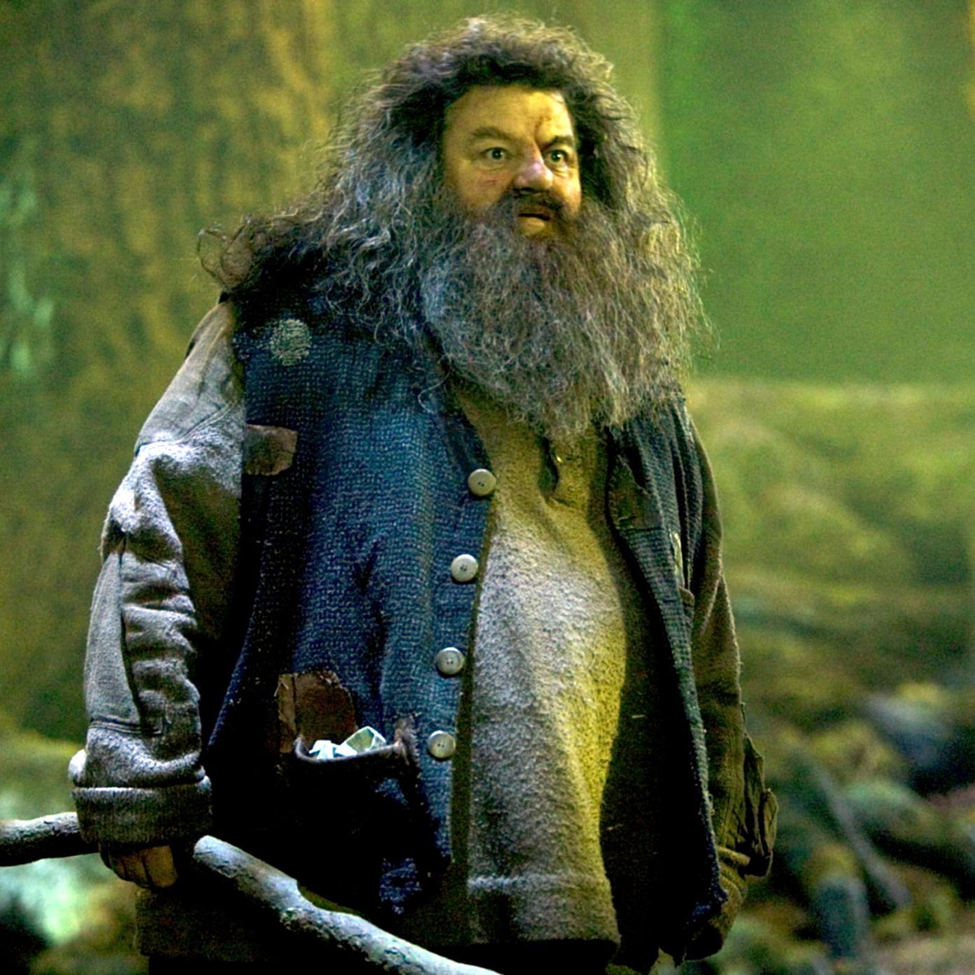 ハリーポッターのハグリッド役ロビー氏の死因と身長の秘密｜撮影秘話