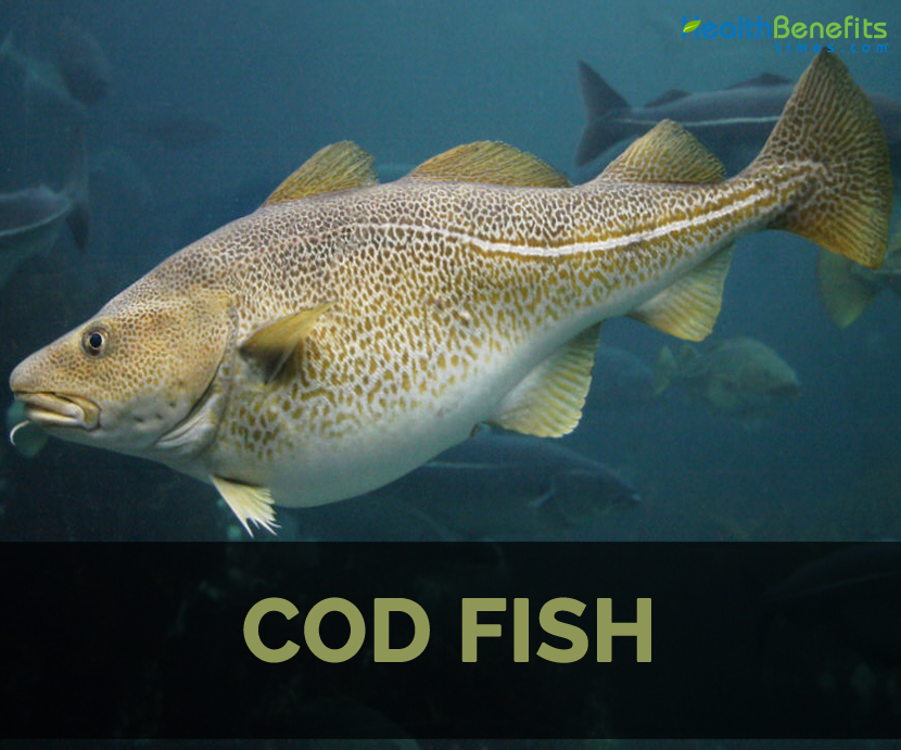 Is Cod Fish Healthy