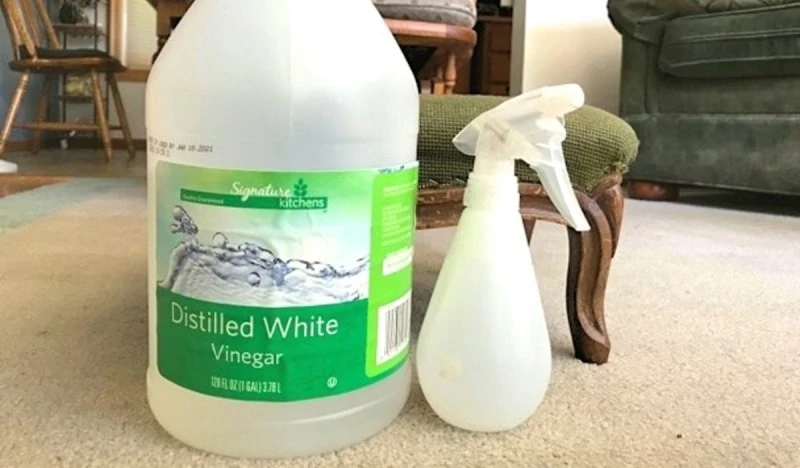 White Vinegar Spray for Spiders