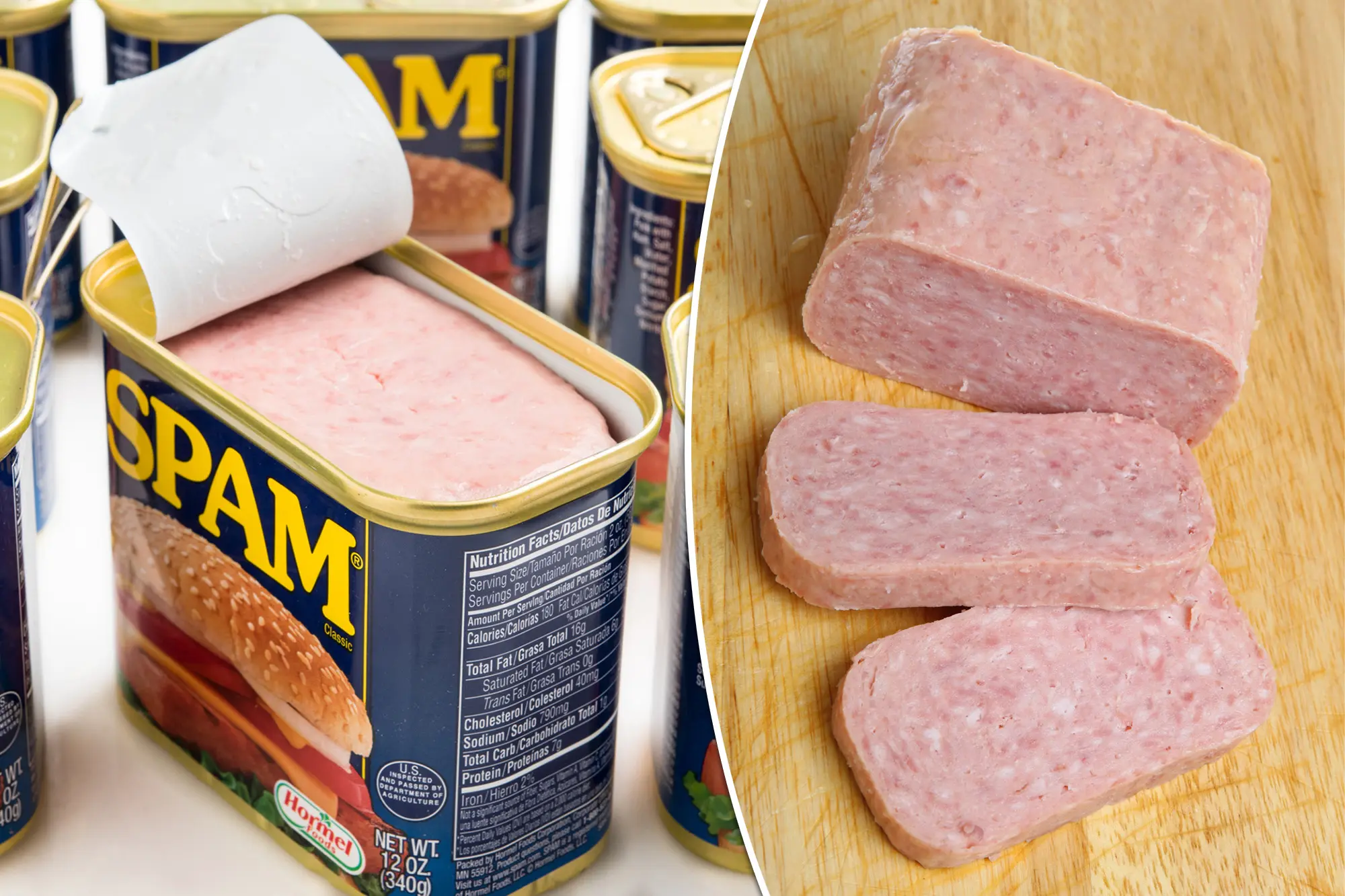 What Dose Spam Stand For