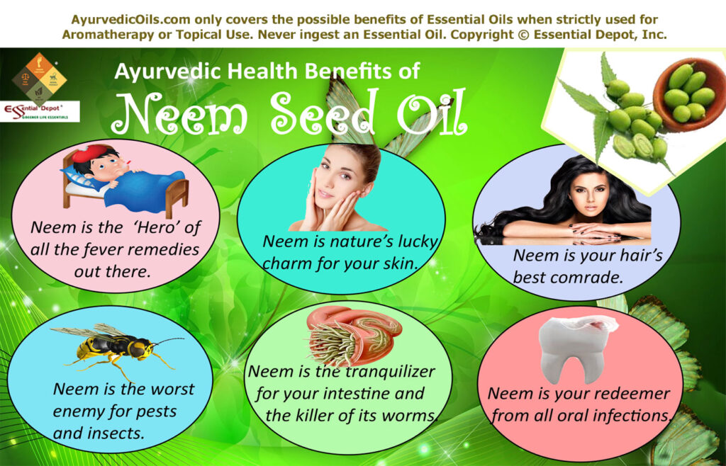 Benefits of Neem Seed Oil