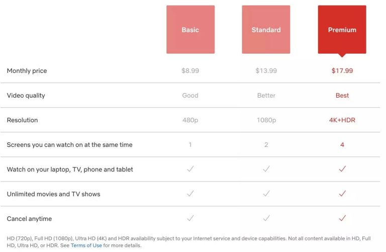 Can You Pay for Netflix for a Year