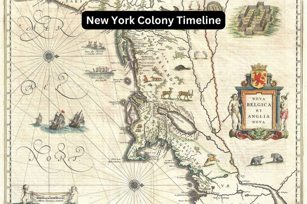 Why Was the Colony of New York Established