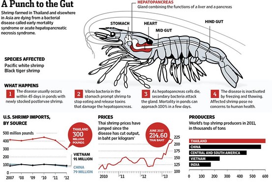How Much Shrimp Can Kill You