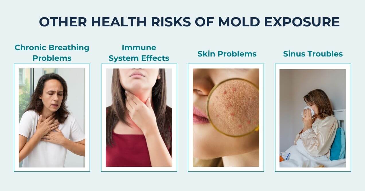 Can Mold in a Straw Make You Sick