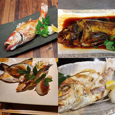 【2026最新】 川 魚 料理 魚 勝 気になる噂と真相 #789