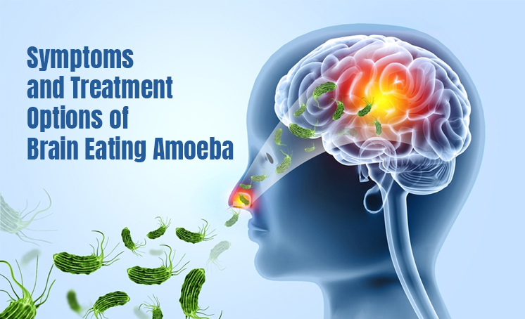 Is There a Cure for the Brain Eating Amoeba