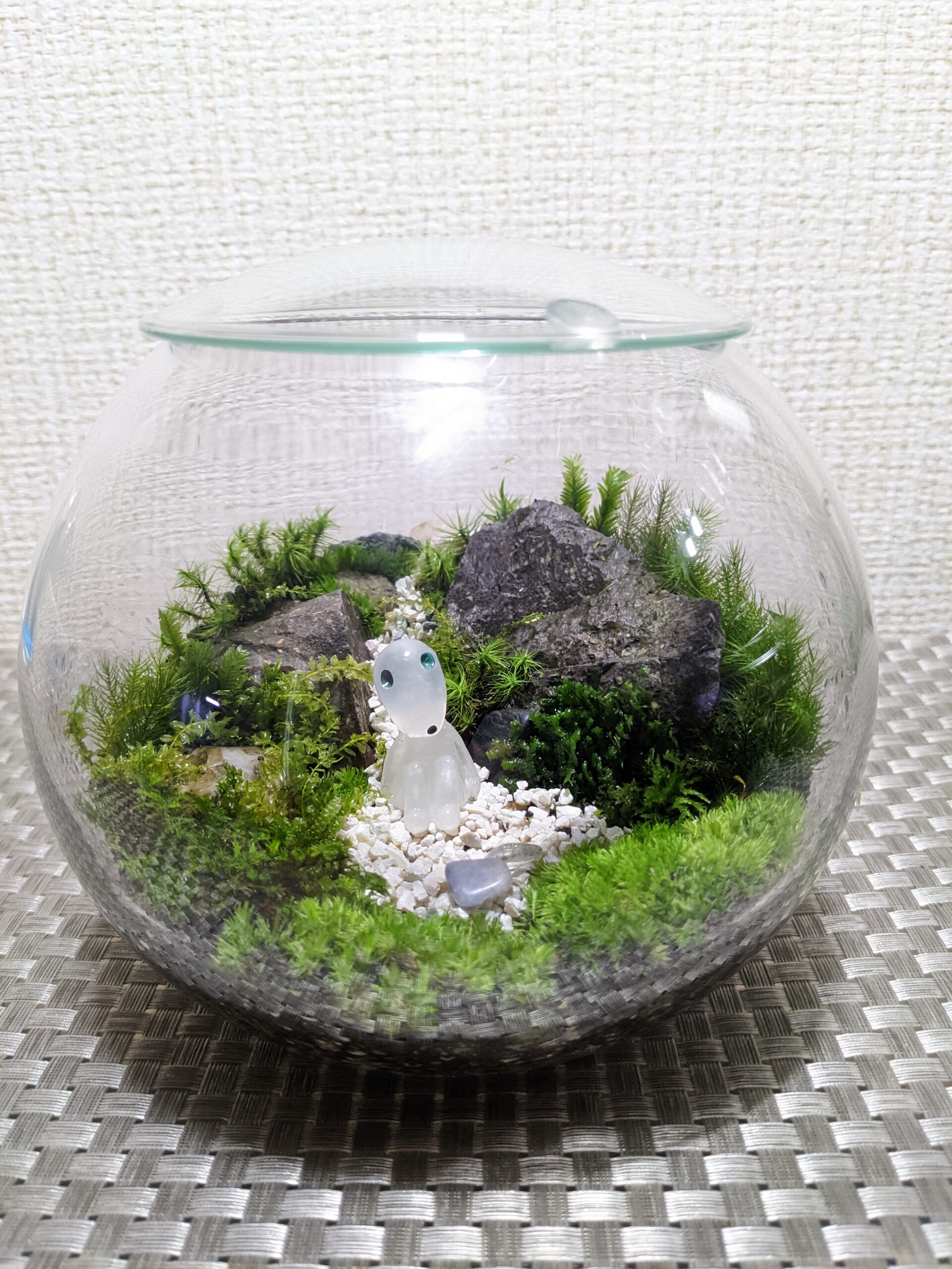苔テラリウムの作り方完全版｜2026年プロが明かす失敗ゼロの極意