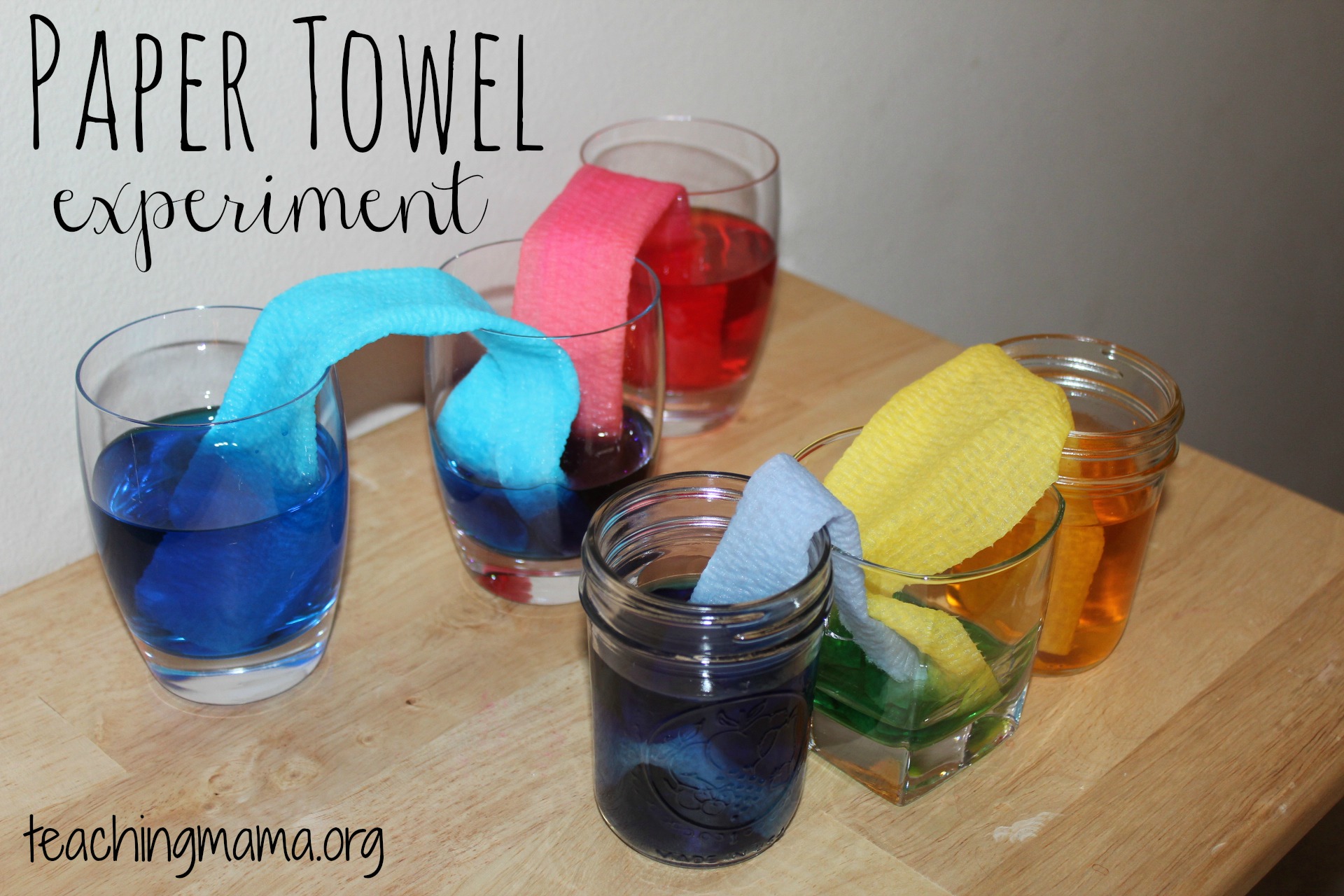 Paper Towel Absorbing Water