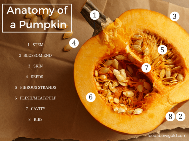 What Is the Edible Part of Pumpkin