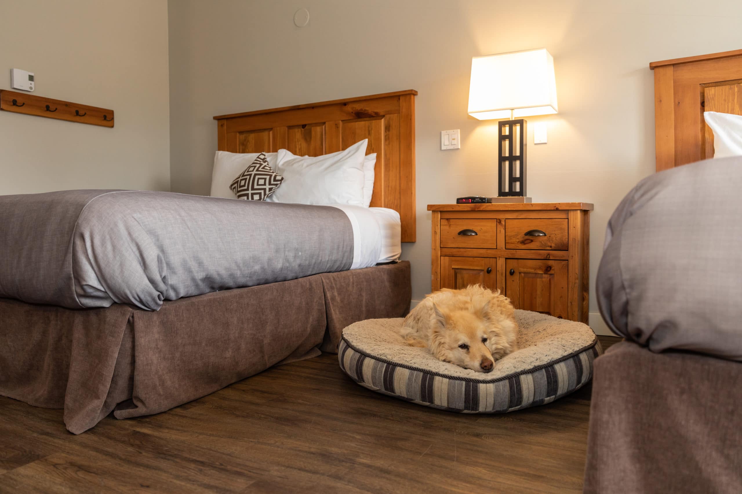 St George Pet Friendly Hotels