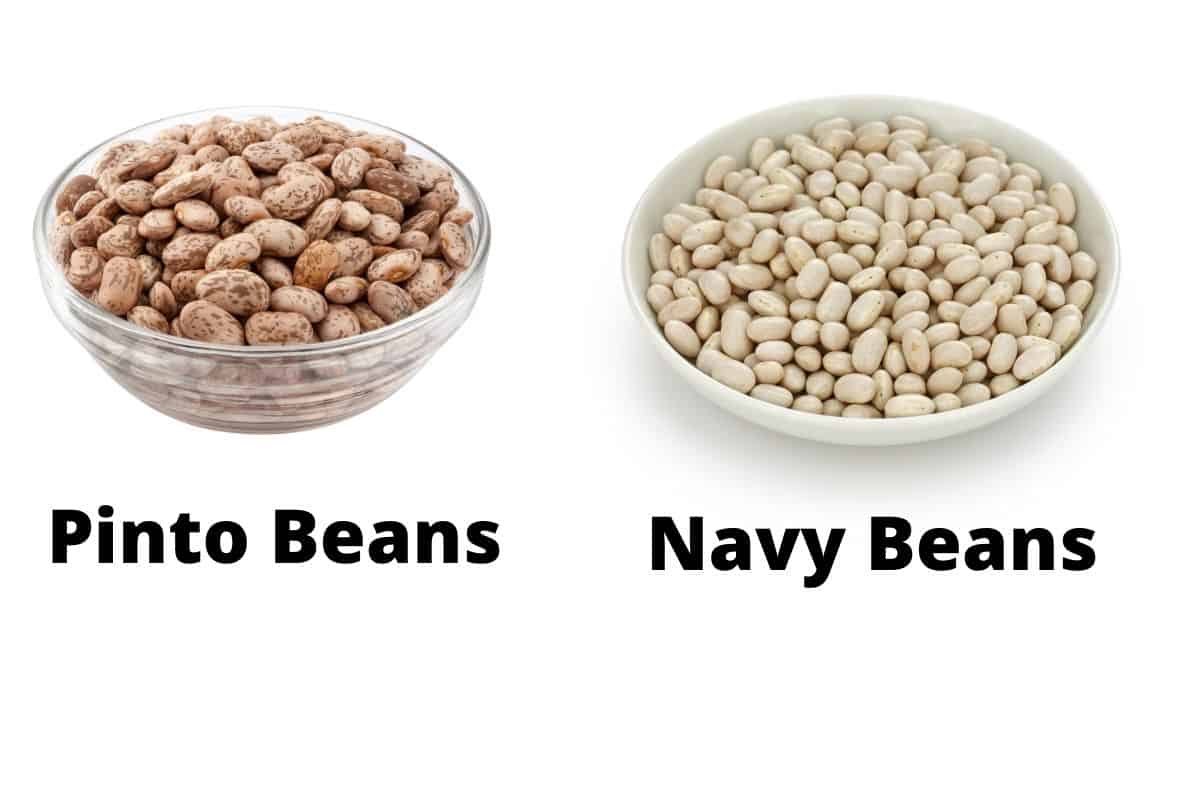 Pinto Beans vs Navy Beans