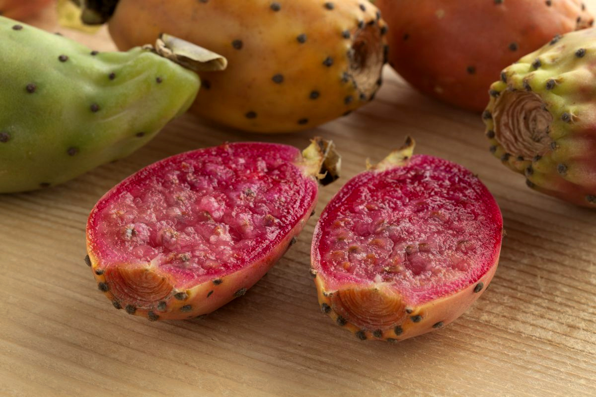 Are Cactus Fruits Edible
