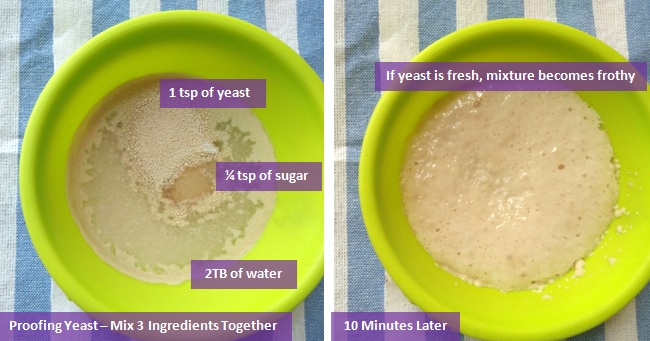 How Can Yeast Be Activated or Proofed