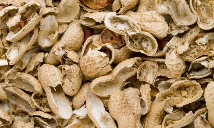 Should You Eat Peanut Shells