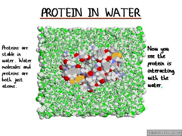 How Much Protein in Water