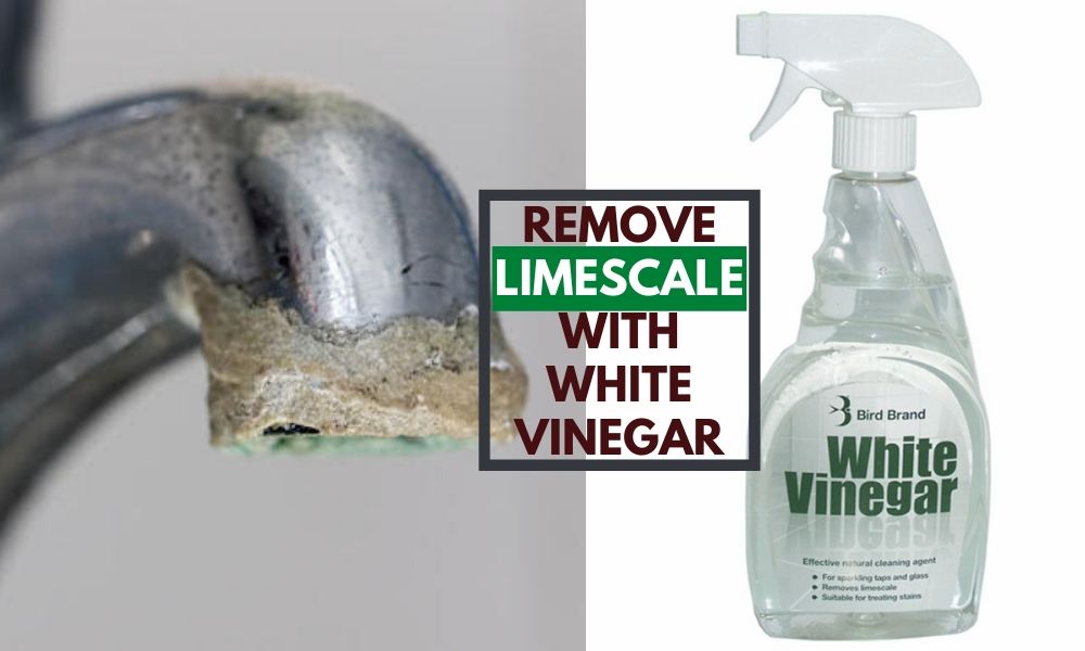 Does Vinegar Remove Lime Scale