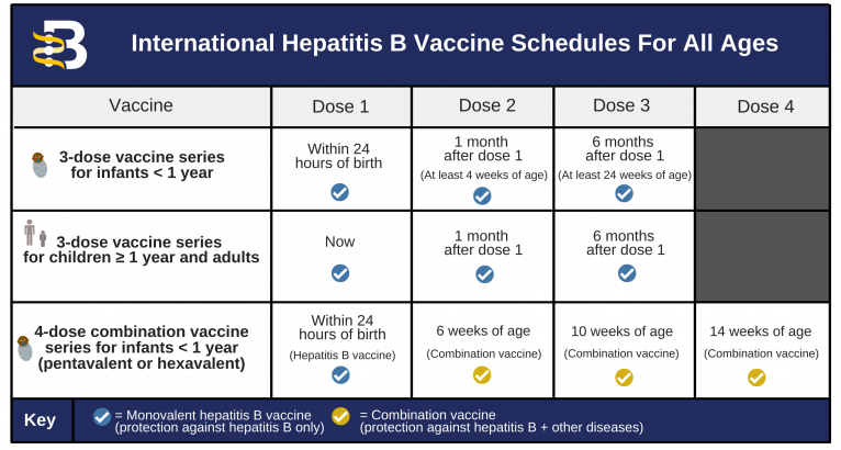 How Long Is the Hepatitis B Vaccine Good For