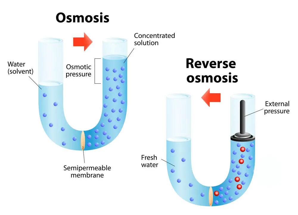Can You Use Reverse Osmosis Water in a Humidifier