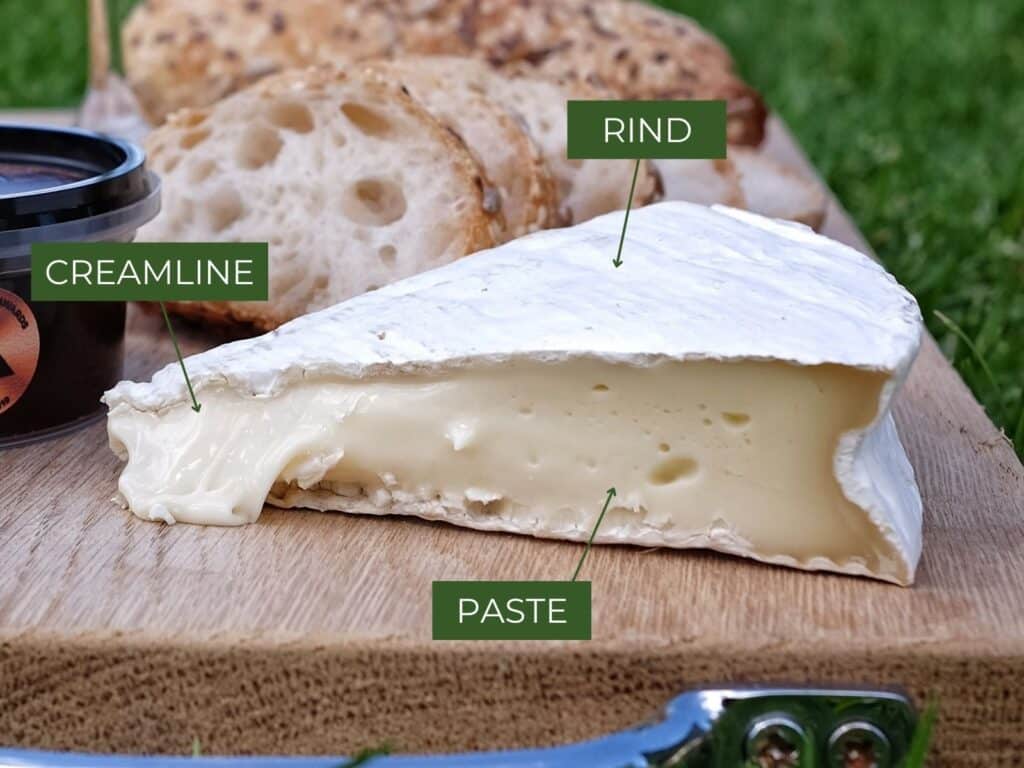 Is the Outside of Brie Cheese Edible
