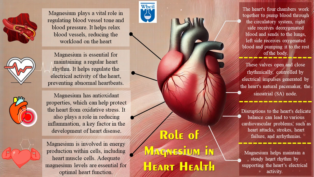 Magnesium for Heart Health