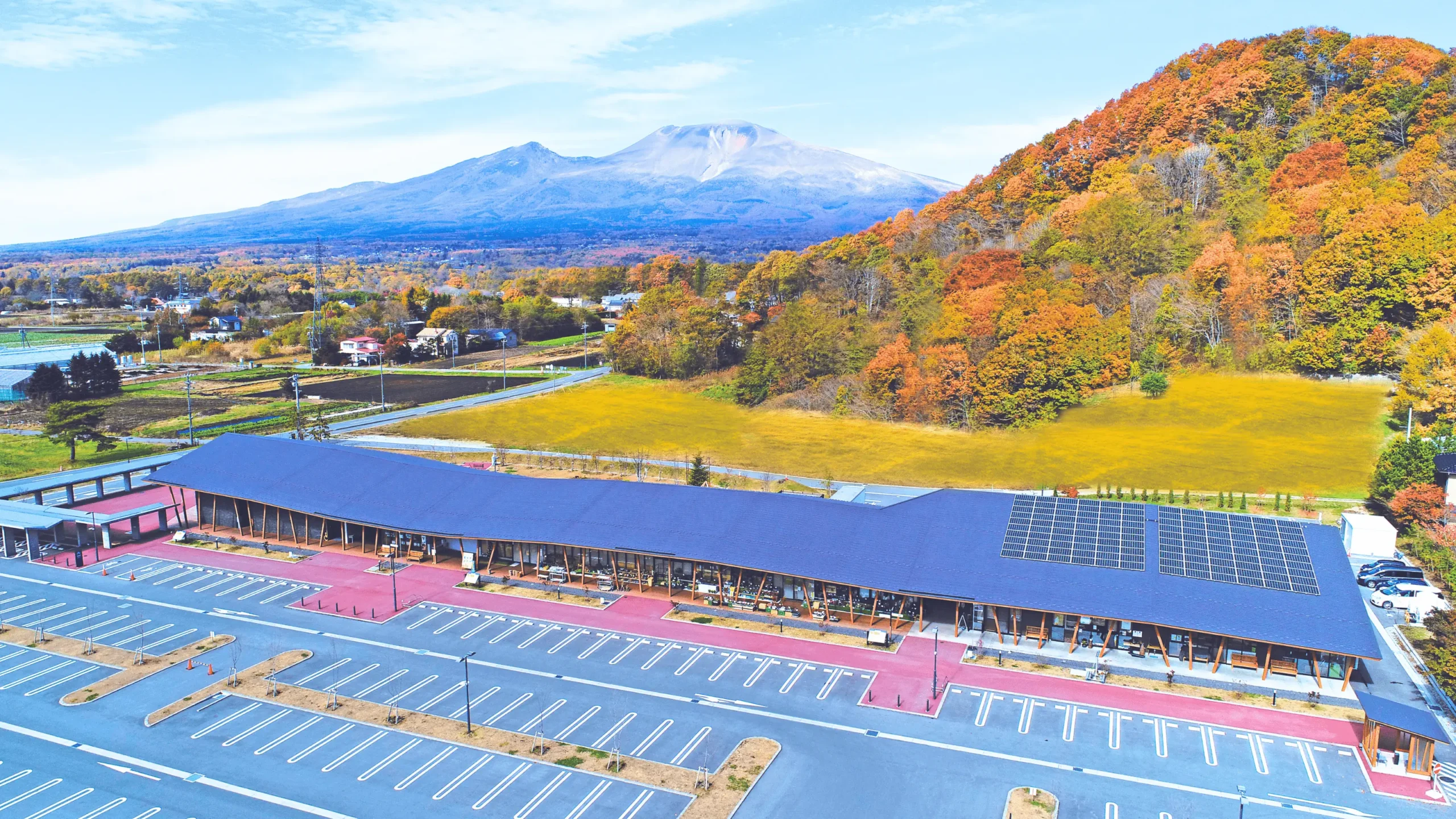 軽井沢発地市庭の魅力と攻略法！絶品霧下野菜＆人気ランチの完全検証