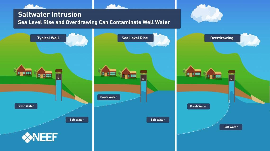 What Is Salt Water Intrusion