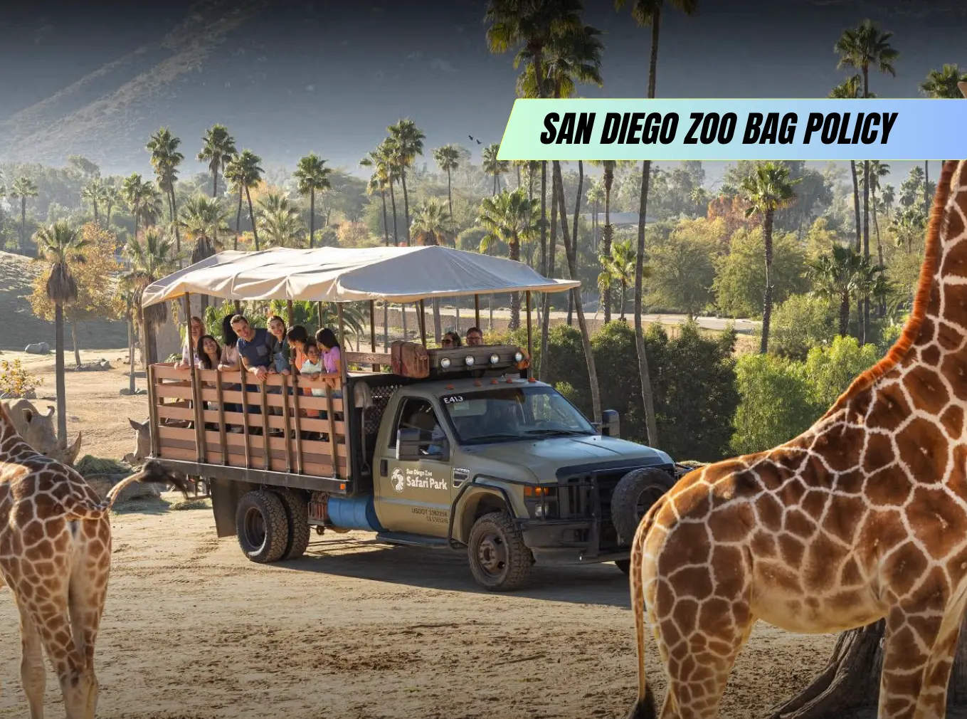 Bag Policy San Diego Zoo