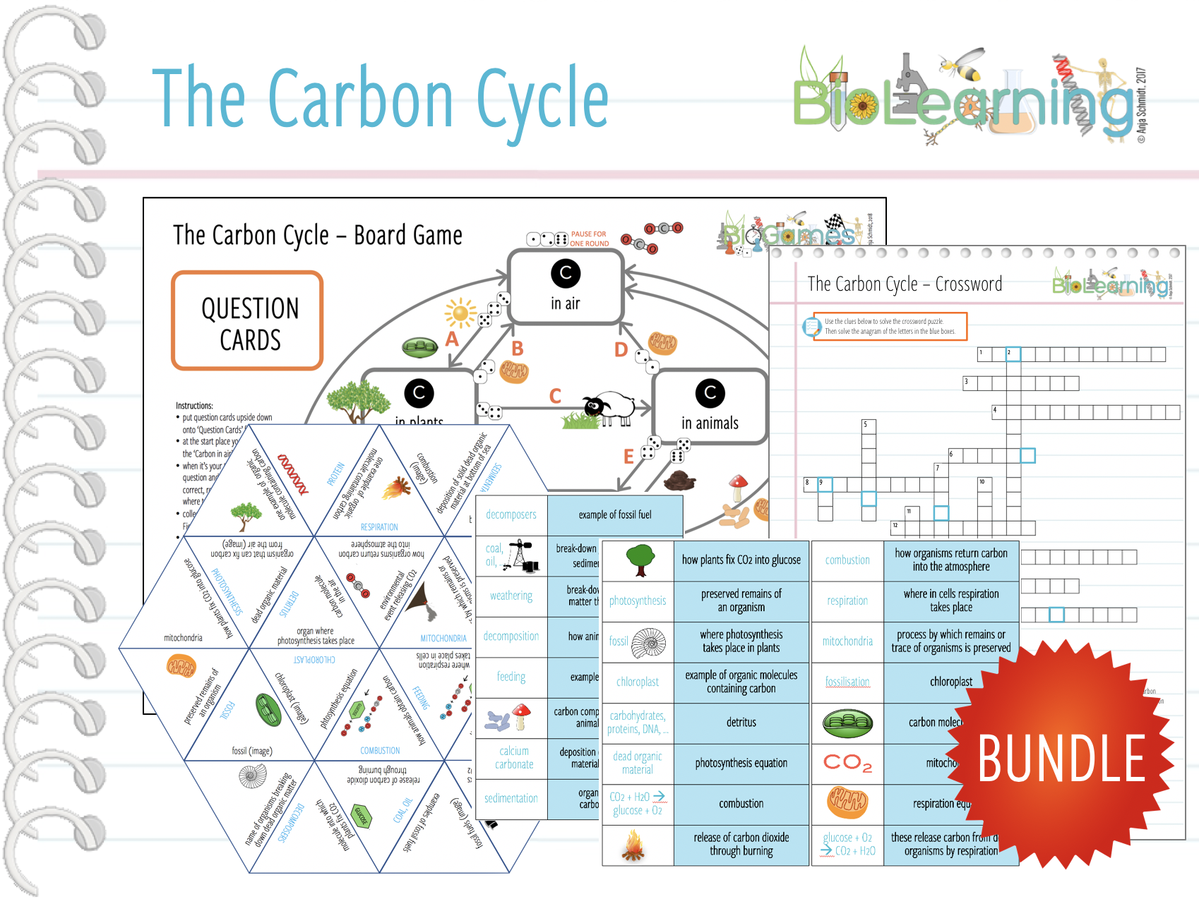 The Carbon Cycle Activity Worksheet Answers