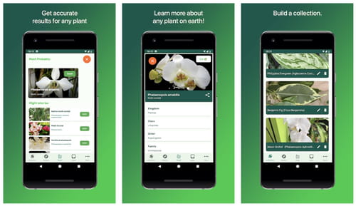 Plantsnap App Free Download for Android