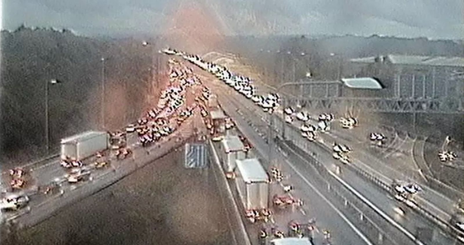 National Highways Reopened the M4 After Horses Blocked Traffic