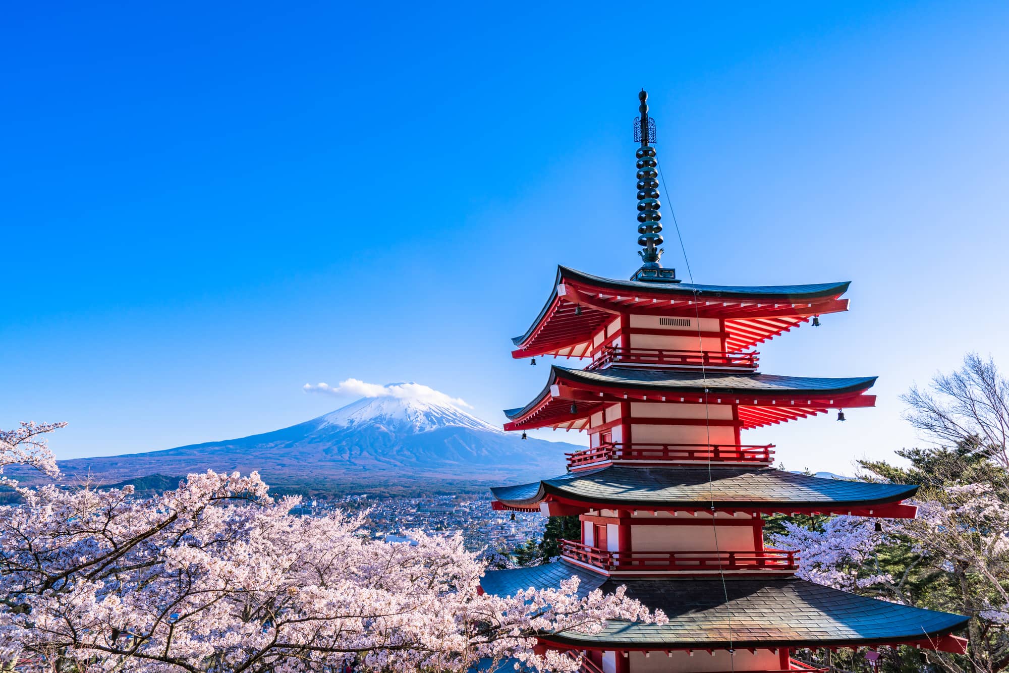 新倉富士浅間神社なぜ人気？絶景の真相と398段攻略・2026混雑回避