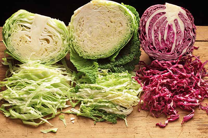 Can Cabbage Be Eaten Raw