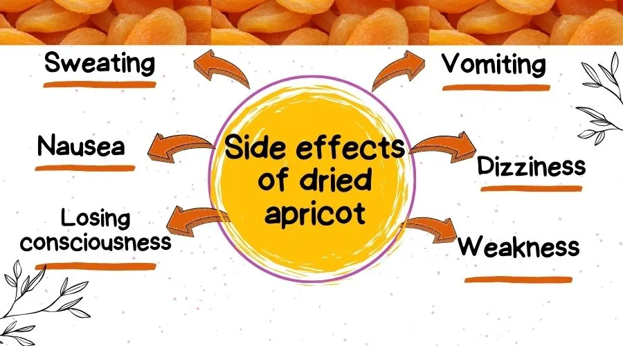 Side Effects of Dried Apricots