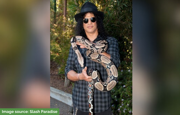 How a Longtime Reptile Fan Slash Became Namesake of New Snake Species L. Slashi