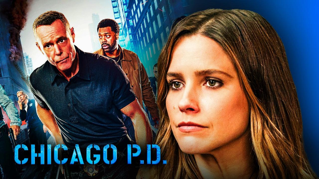 Why Did Sophia Bush Leave Chicago Pd