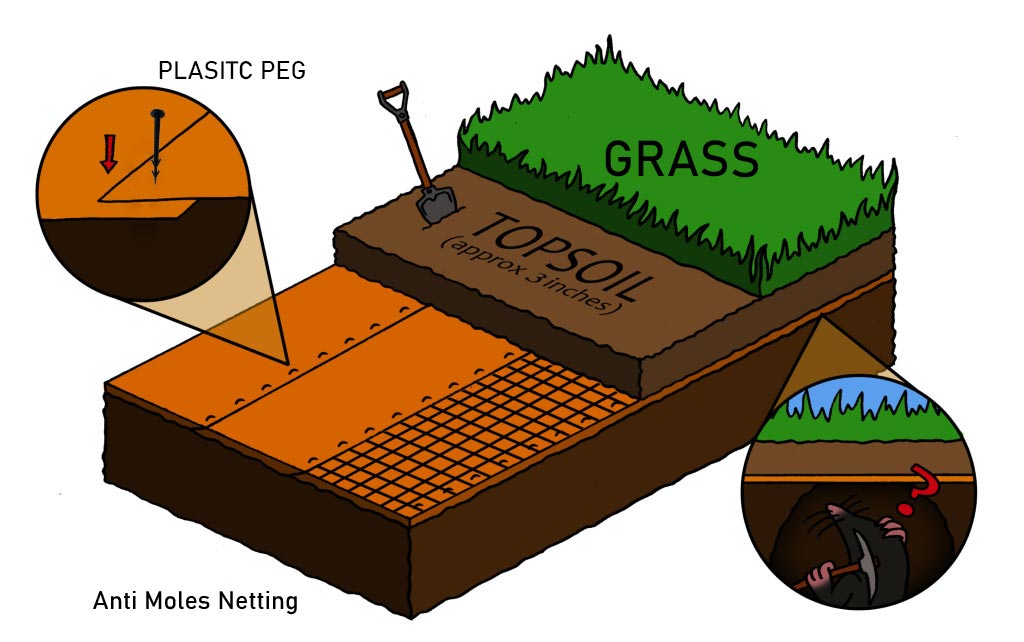 How Do You Prevent Moles