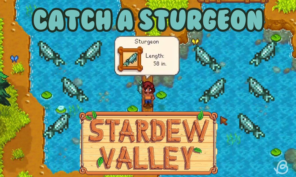 Where to Fish Sturgeon Stardew Valley