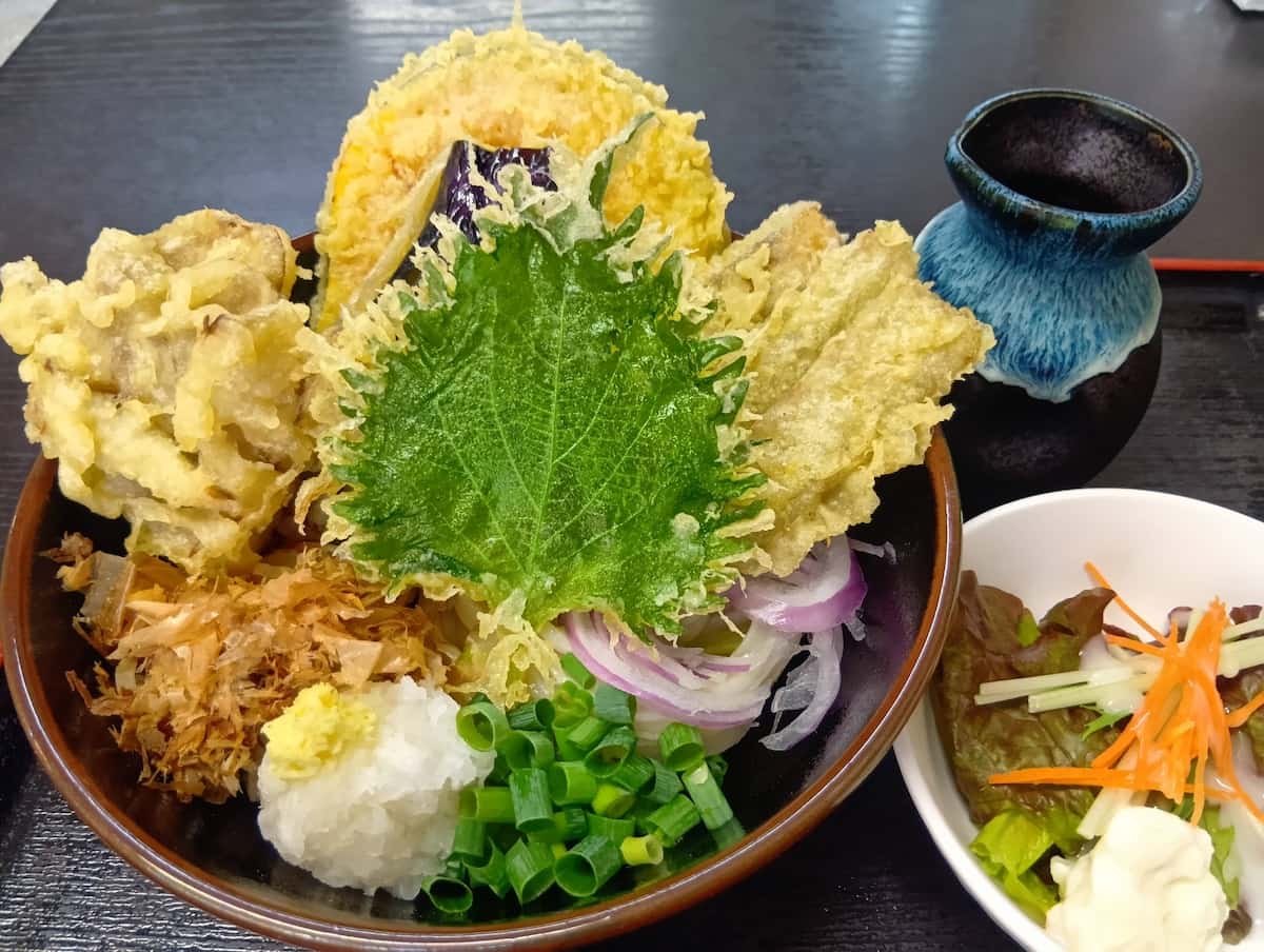 名店うどん処篁園の真価とは？実食検証で見えた出汁の極みと混雑対策