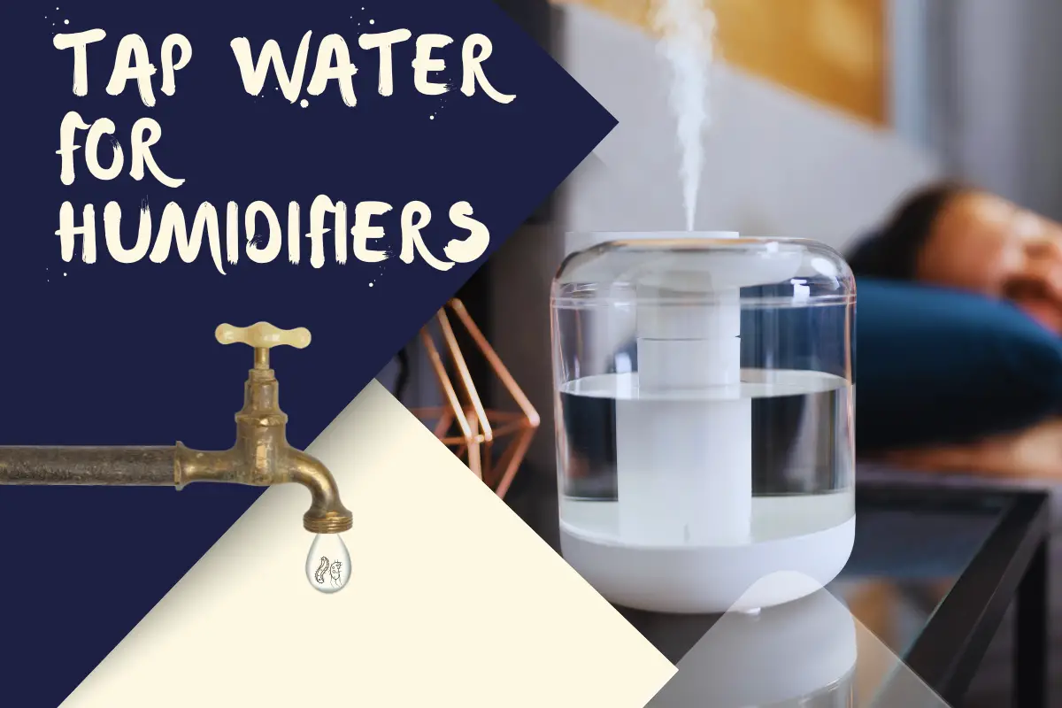 Is It Ok to Put Tap Water in a Humidifier