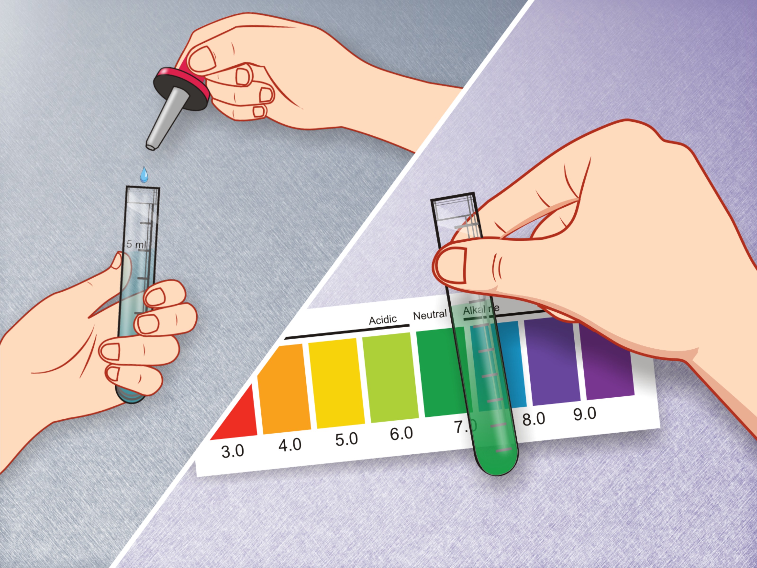 How to Check My Ph Level