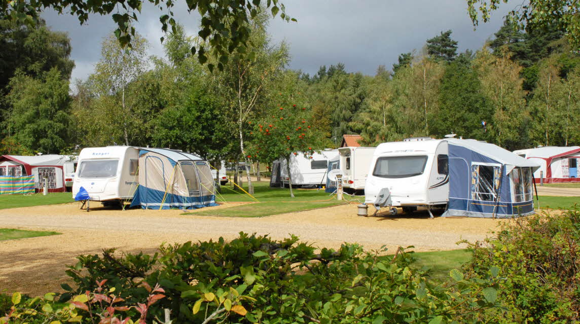 The Sandringham Estate Caravan and Motorhome Club Campsite