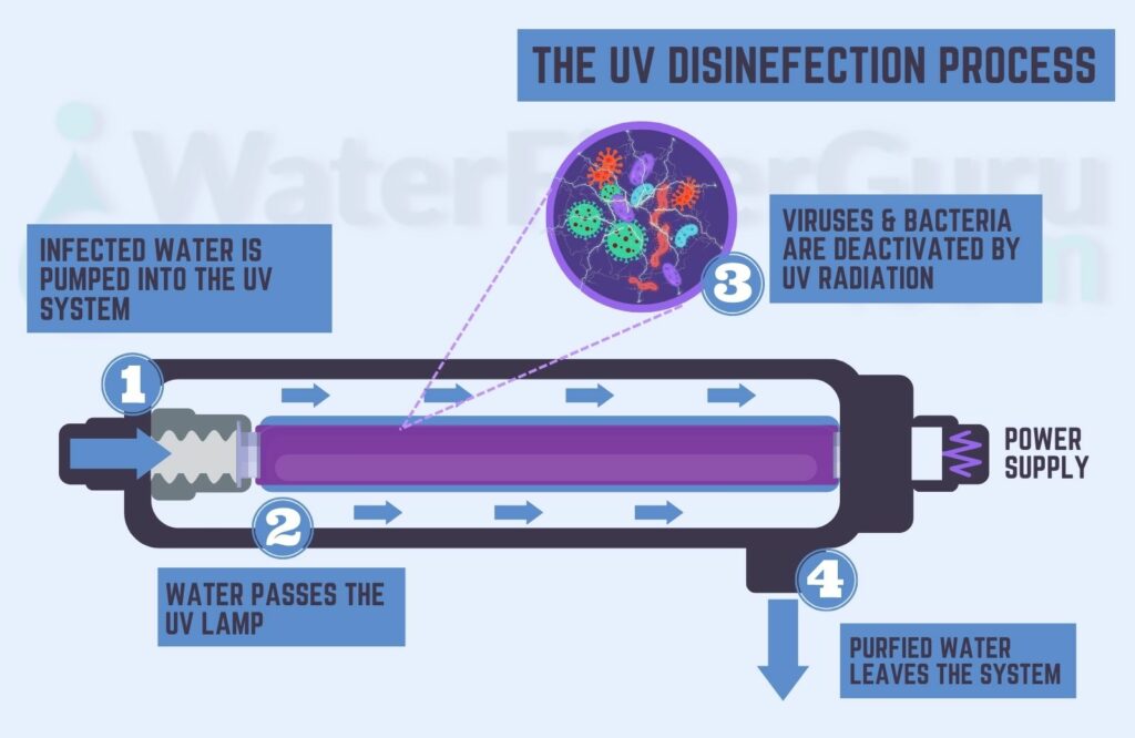 Ultraviolet Water Treatment for Coliform Bacteria