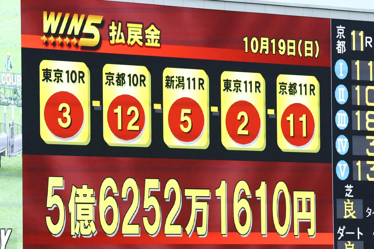 今週のWin5攻略法｜波乱レース見極めと点数を絞る少額投資術