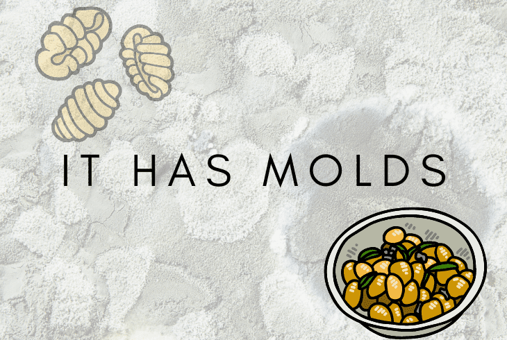 What Does Moldy Gnocchi Look Like