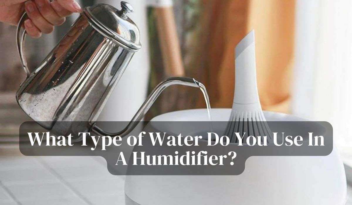 What Type of Water to Use for Humidifier